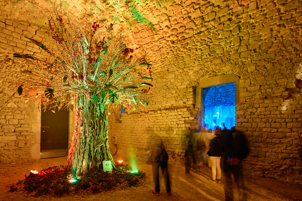 temps de flors gerone 2025