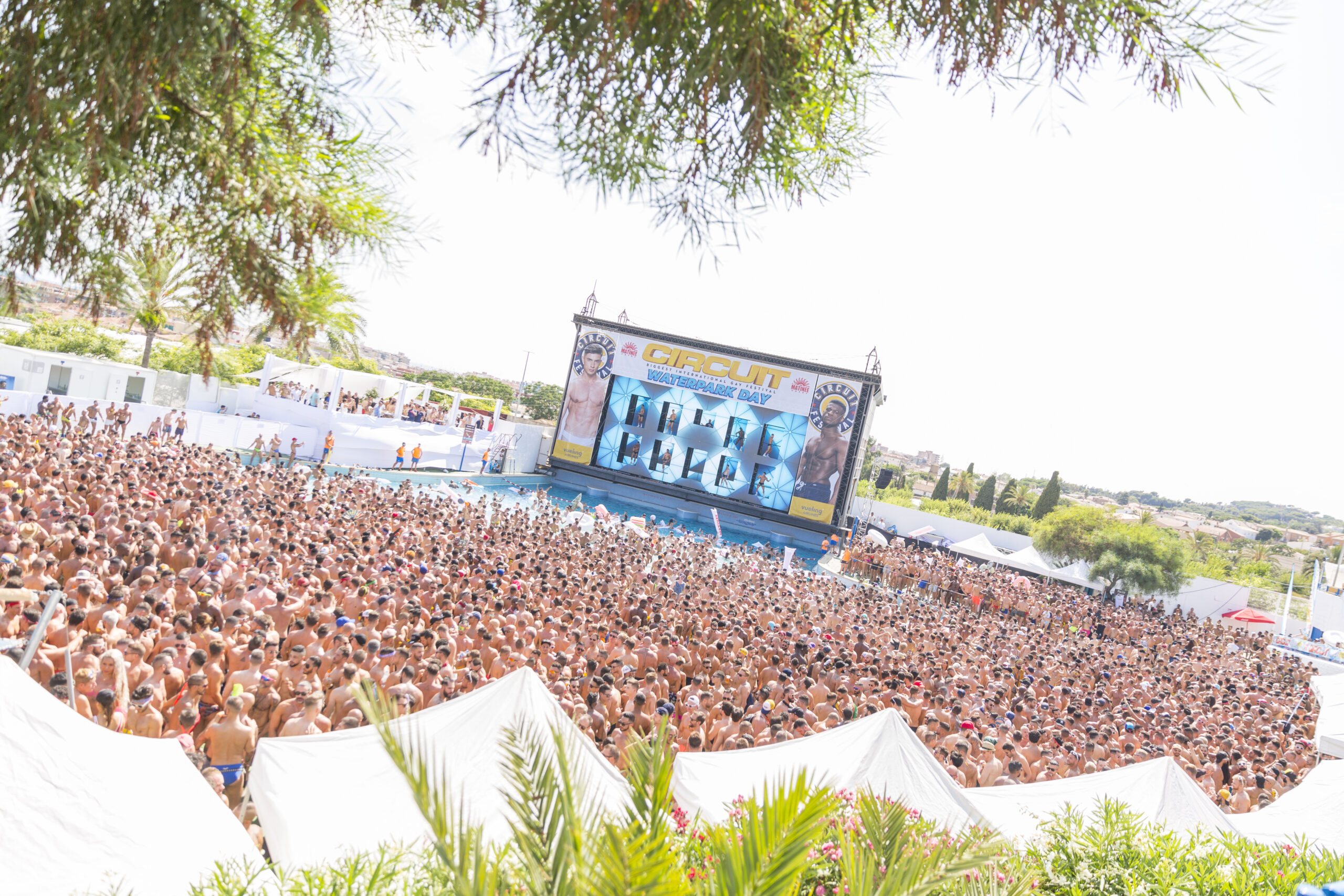 circuit festival scaled