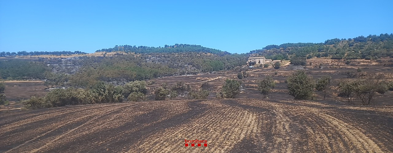 incendie terre brulee catalogne