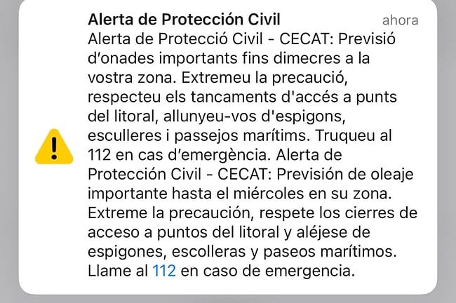 WhatsApp Image 2026 01 19 at 12.14.52