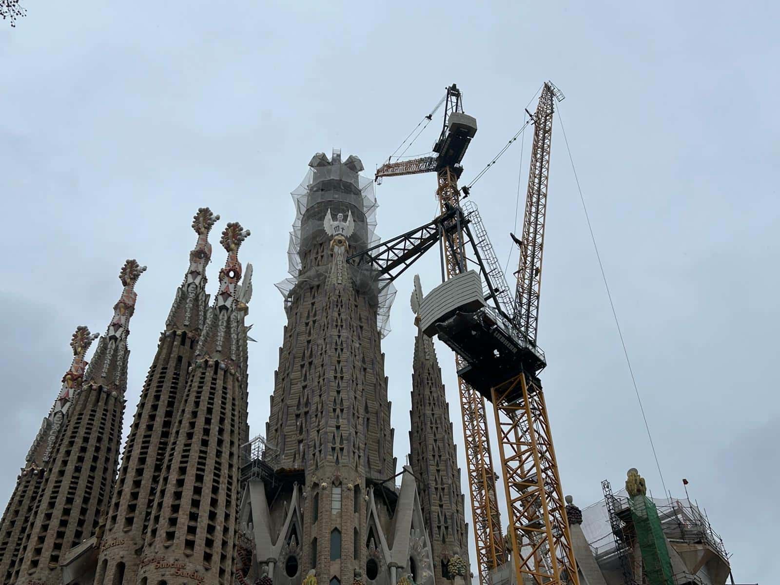 WhatsApp Image 2026 02 13 at 11.15.36 1