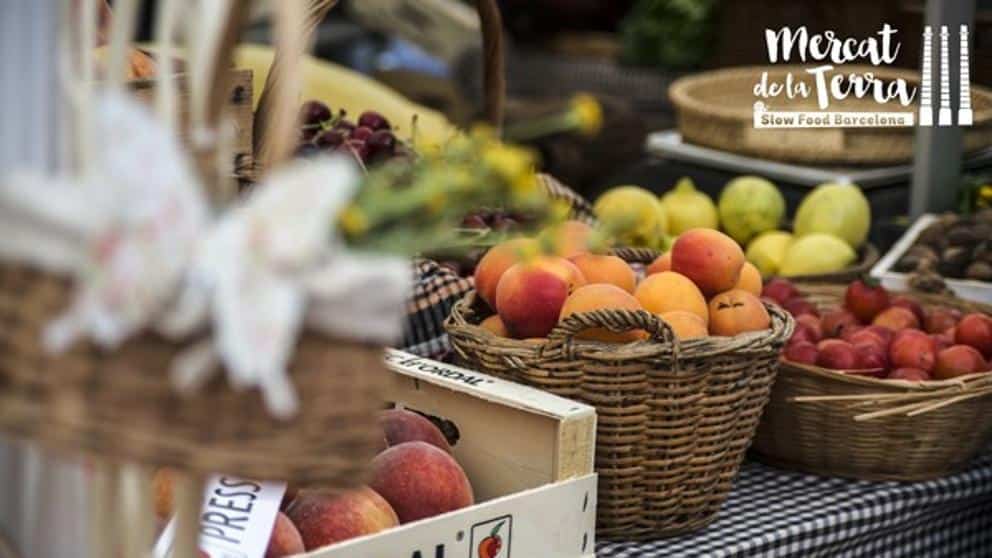 Que faire à Barcelone le week-end du 27 février au 1er mars ? 2 mercat de la terra 1