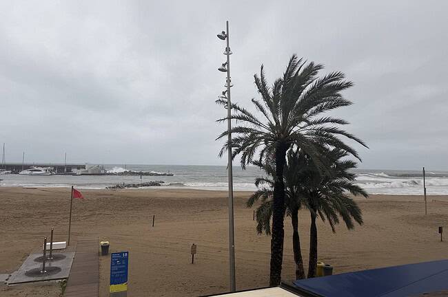 Balade sur la plage sous un ciel nuageux avec palmiers, vue sur la mer agitée et le port en arrière-plan, ambiance maritime et détente.