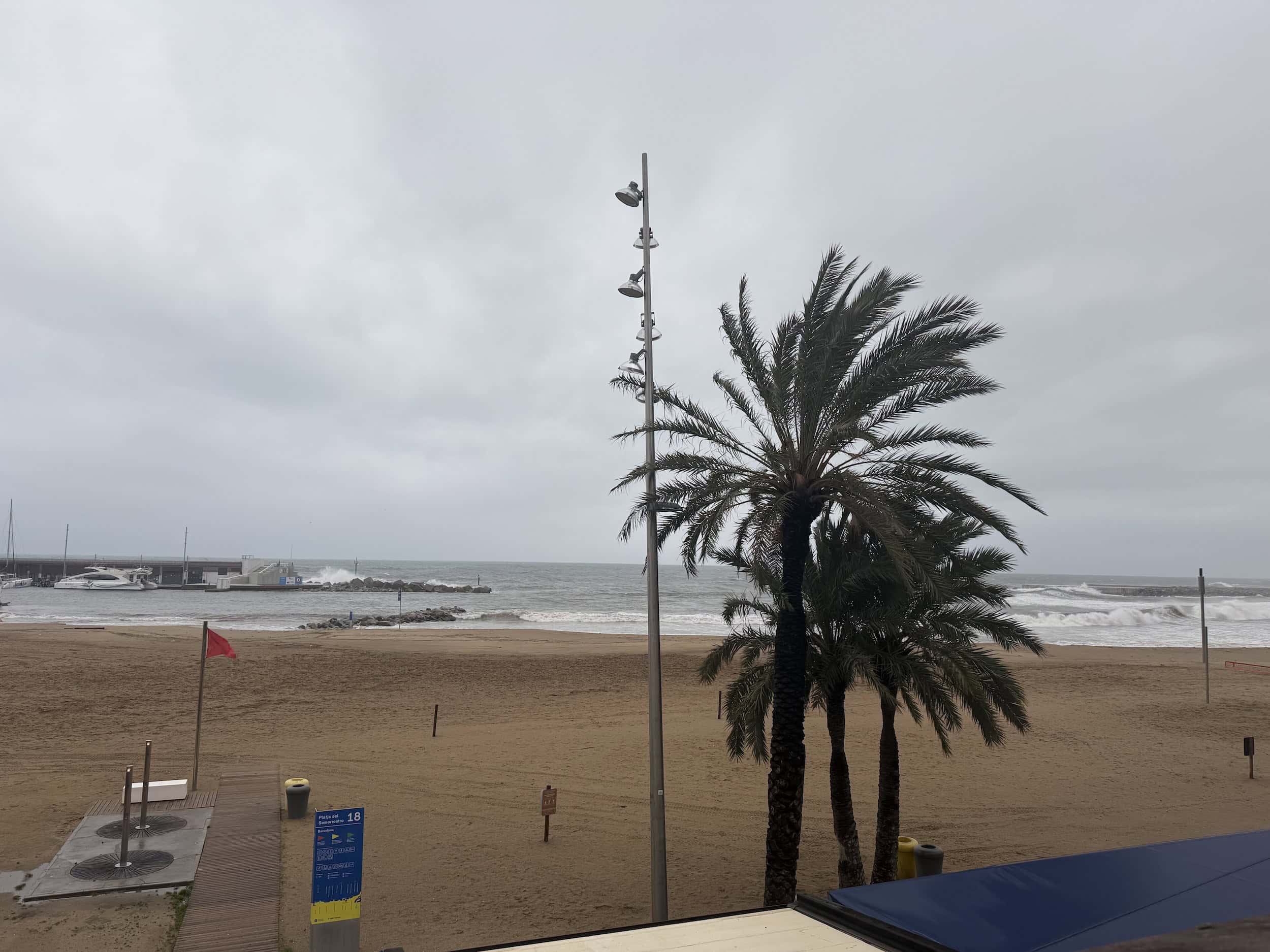 Balade sur la plage sous un ciel nuageux avec palmiers, vue sur la mer agitée et le port en arrière-plan, ambiance maritime et détente.