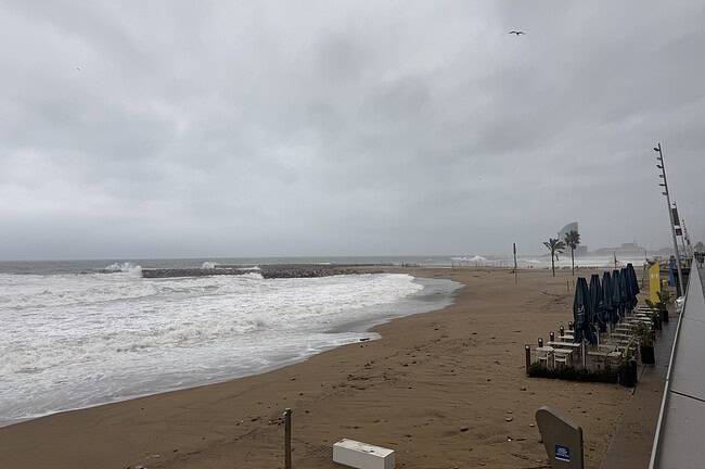 Equinox : toute l'actu de Barcelone et les bons plans de la ville 7 Plage de sable avec parapluies fermés et promenade en bord de mer sous ciel gris, ambiance calme et venteuse, avec quelques palmiers et un horizon brumeux, idéale pour une promenade relaxante.