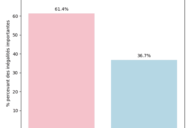 Pourquoi les jeunes Espagnols sont de moins en moins féministes 2 graphfem2
