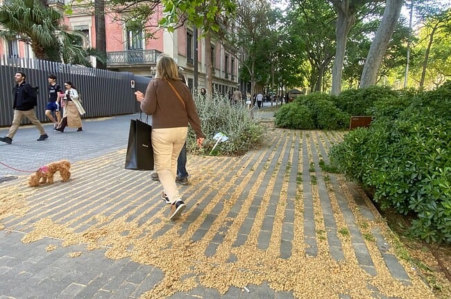 WhatsApp Image 2026 04 23 at 18.14.13