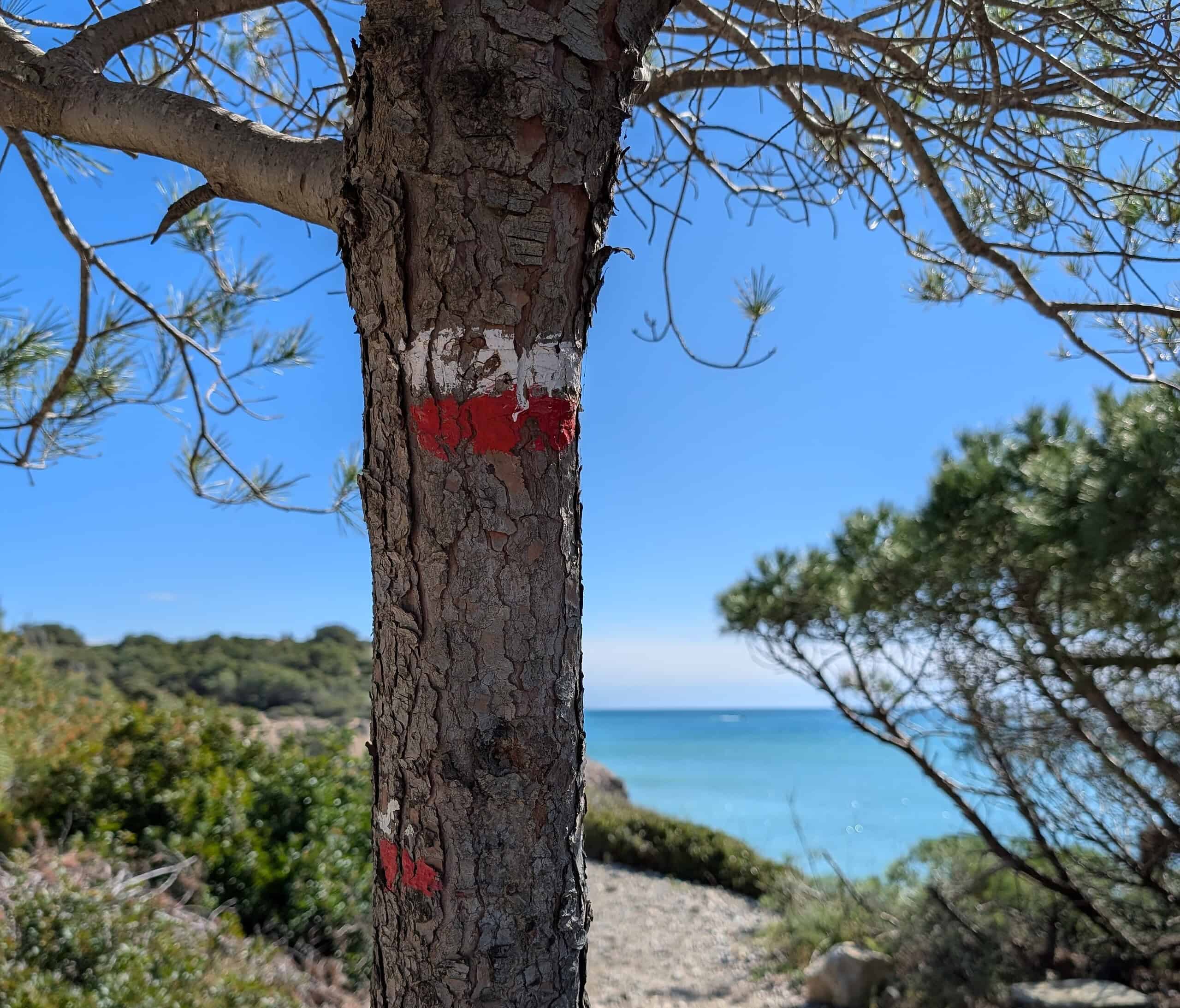 À 35 minutes de Barcelone, une randonnée côtière aux allures de Costa Brava 1 randonnee pres de barcelone plage scaled