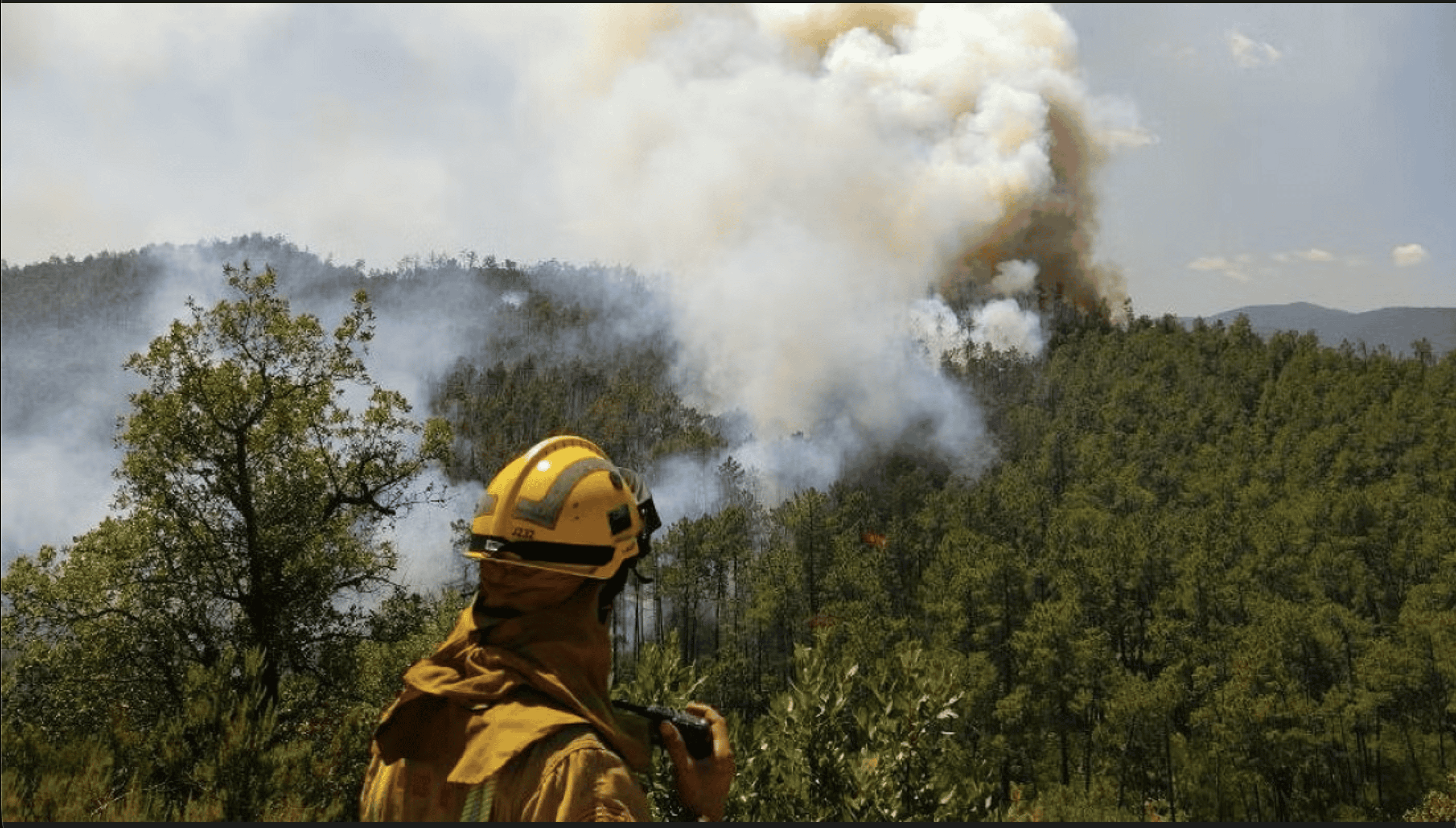 incendie catalogne