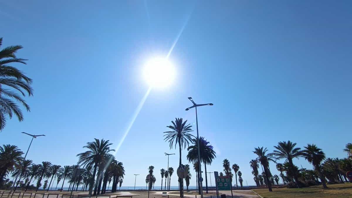 canicule barcelone