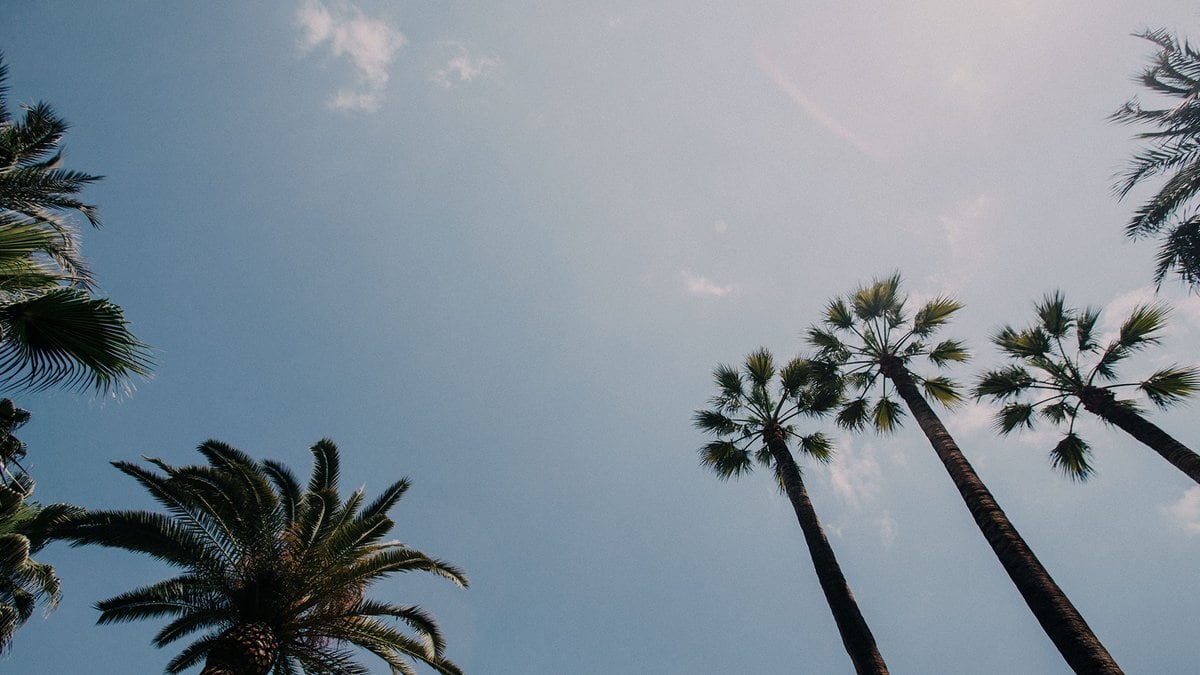 canicule espagne