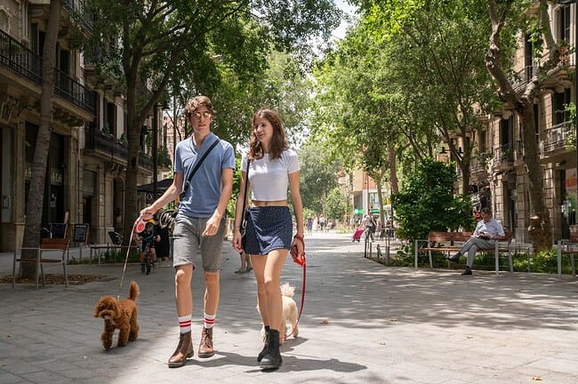 chien couple barcelone consell de cent