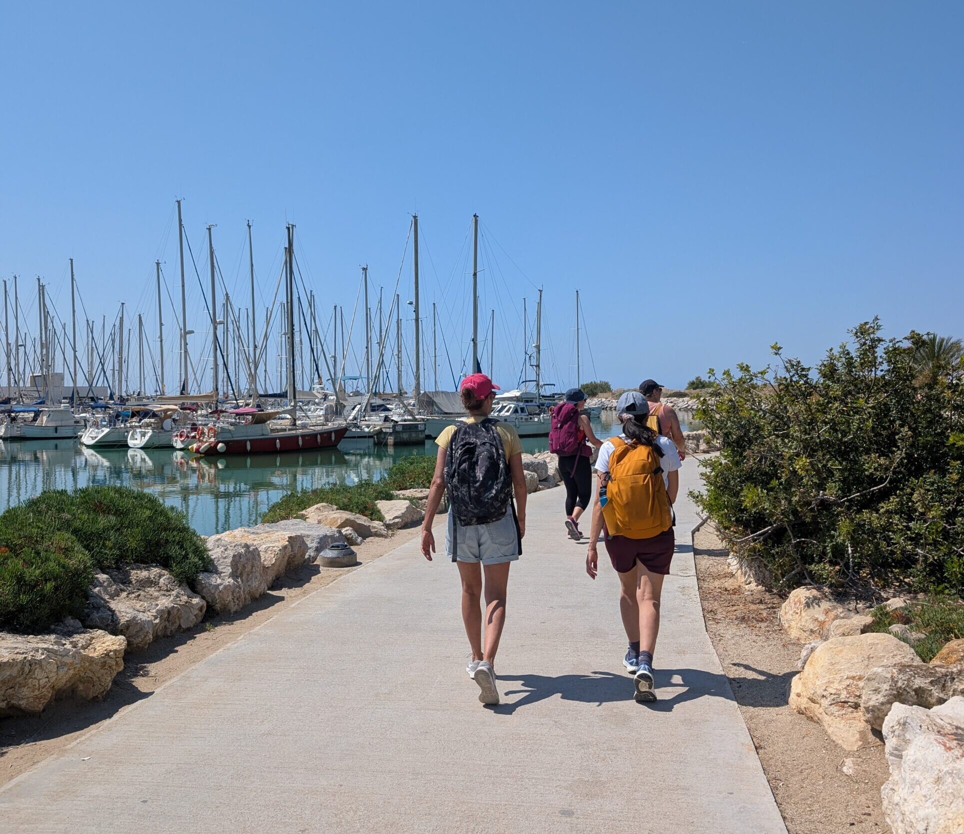 À 25 minutes de Barcelone, cette randonnée mène à d'adorables cabanes de pêcheurs 2 PXL 20260529 095819247 1 scaled e1793031860327